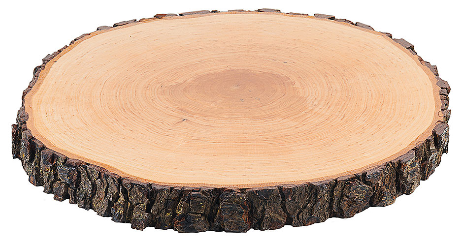 Rindenbrett rund 27-30 cm Rindenbrett rund 27-30 cm