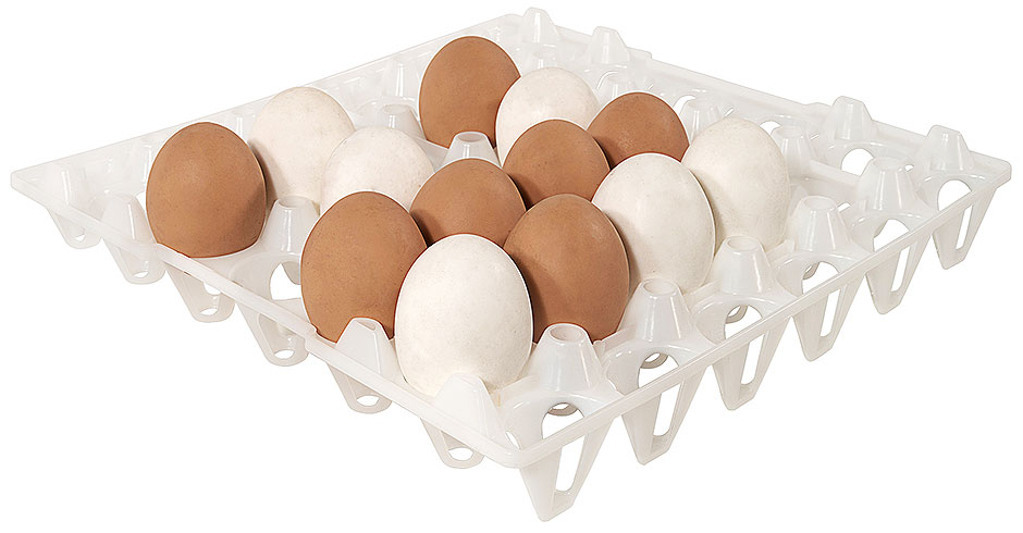Tablett für 30 Eier, weiß
