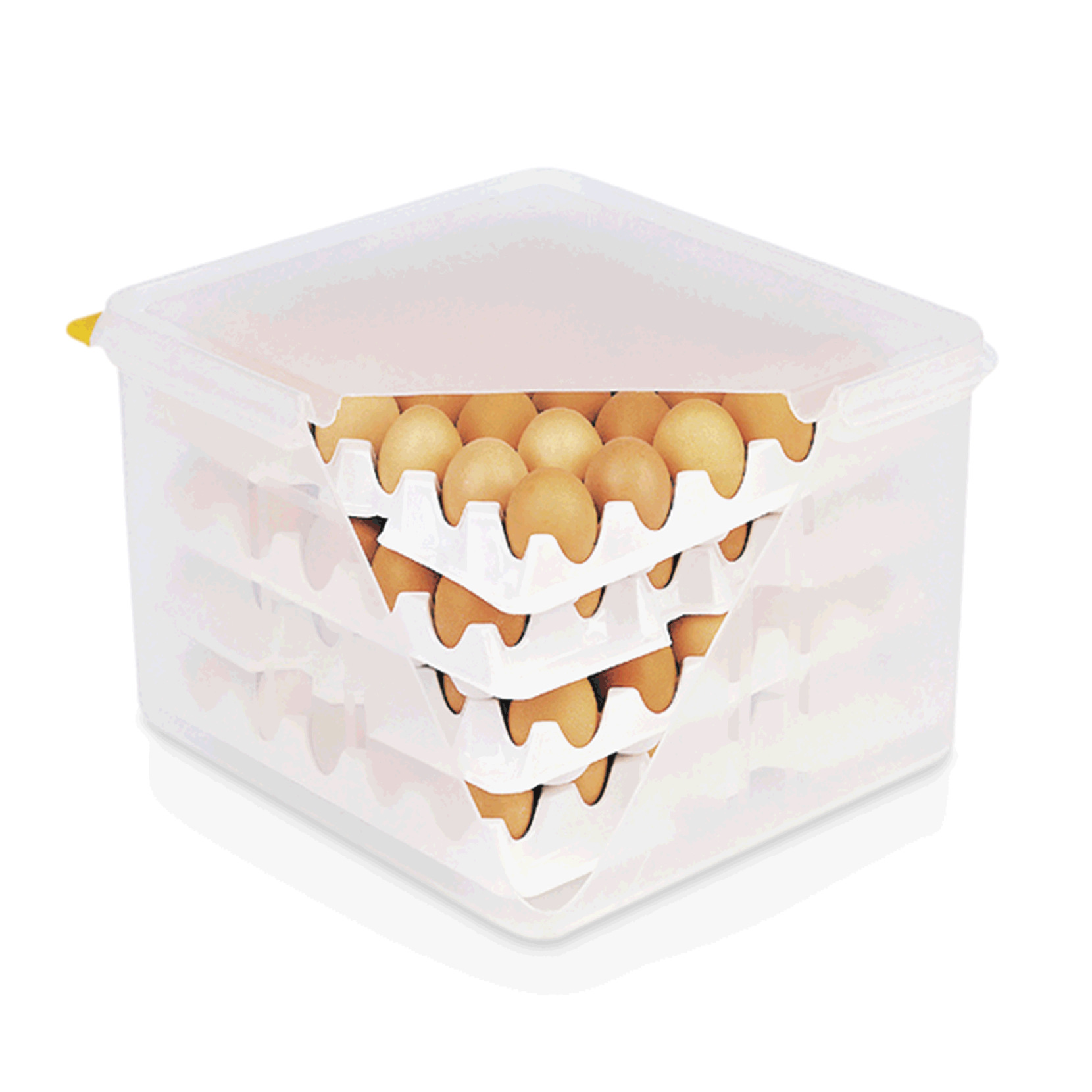 Eierbox HACCP, 35,4 x 32,5 x 20 cm, Polypropylen