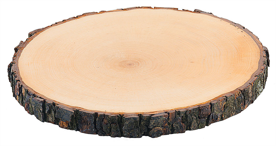Rindenbrett rund 20-22 cm