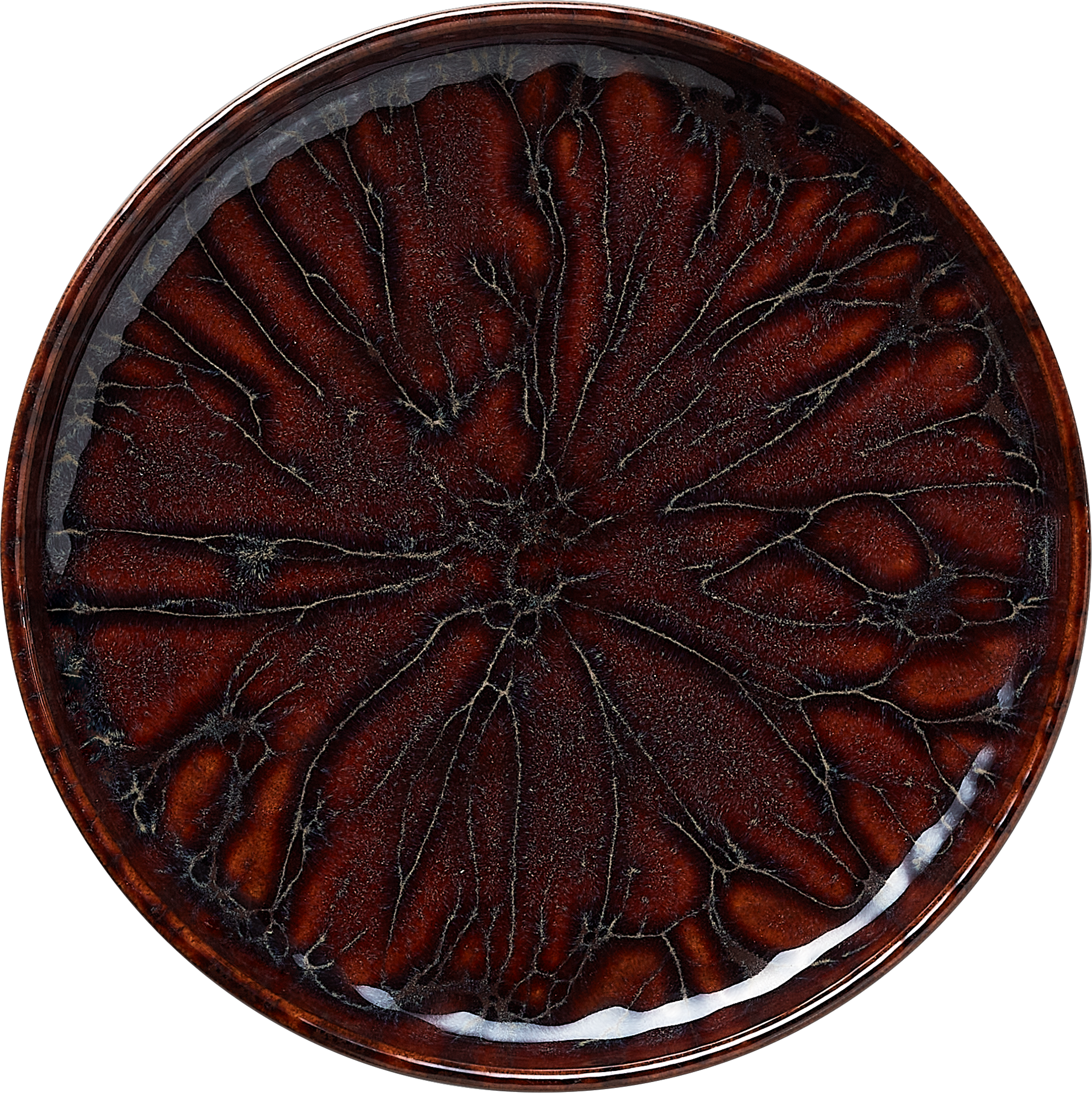 ROCKZZERO® ONE - Teller, flach, Ø 22,0 cm, Serie amazonas ROCKZZERO® ONE - Teller, flach, Ø 22,0 cm, Serie amazonas